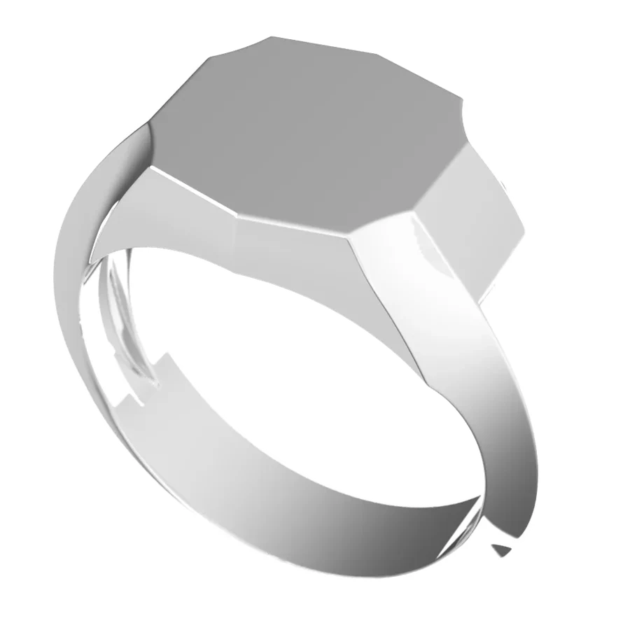 The Keep signet ring in white gold, three-quarter view