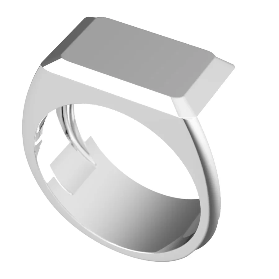 The Charter signet ring in white gold, three-quarter view